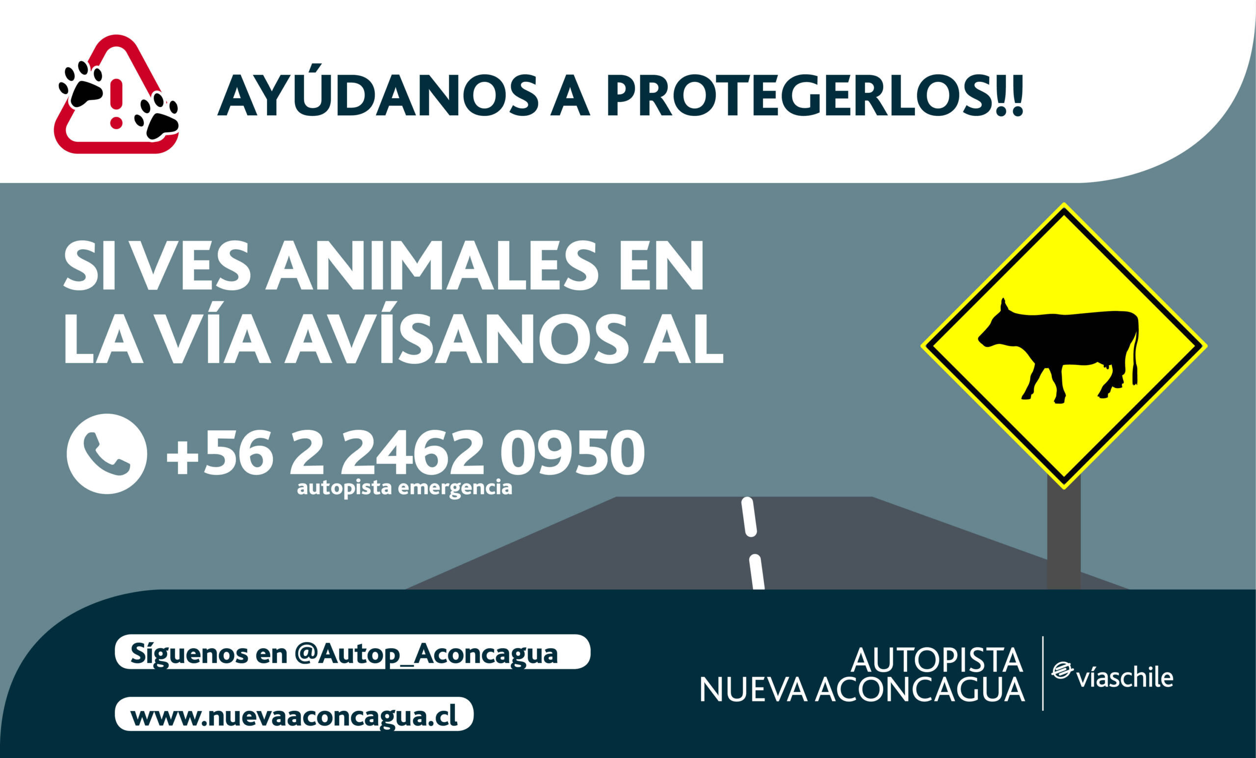 Informacion importante